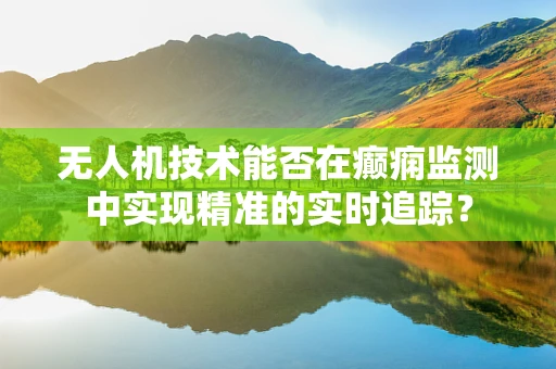 无人机技术能否在癫痫监测中实现精准的实时追踪？