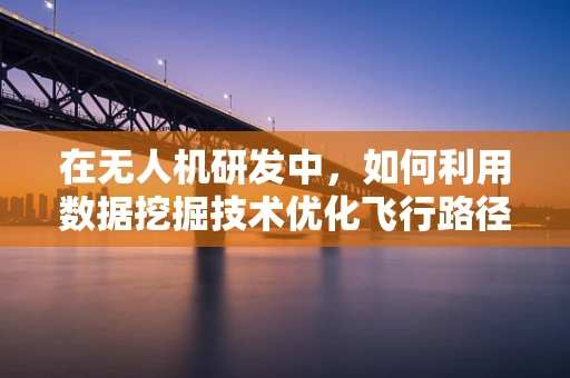 在无人机研发中，如何利用数据挖掘技术优化飞行路径？