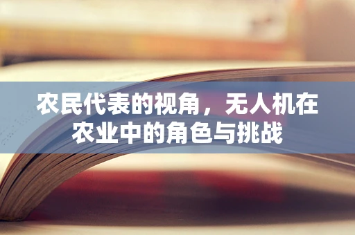 农民代表的视角，无人机在农业中的角色与挑战