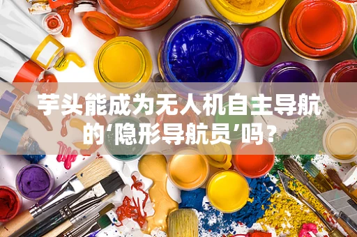 芋头能成为无人机自主导航的‘隐形导航员’吗？