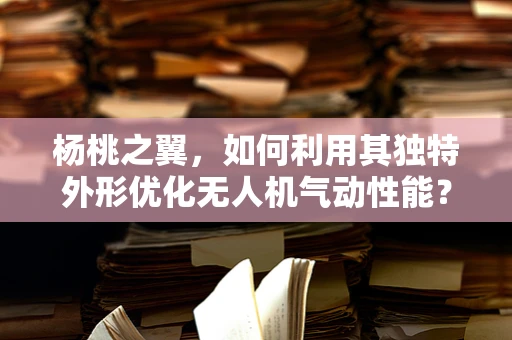 杨桃之翼，如何利用其独特外形优化无人机气动性能？