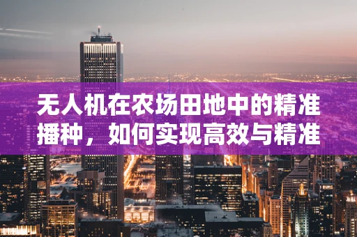 无人机在农场田地中的精准播种，如何实现高效与精准的平衡？