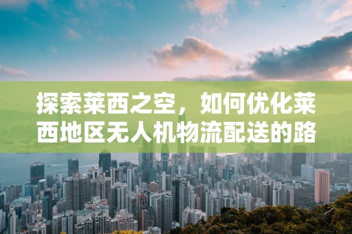 探索莱西之空，如何优化莱西地区无人机物流配送的路径规划？