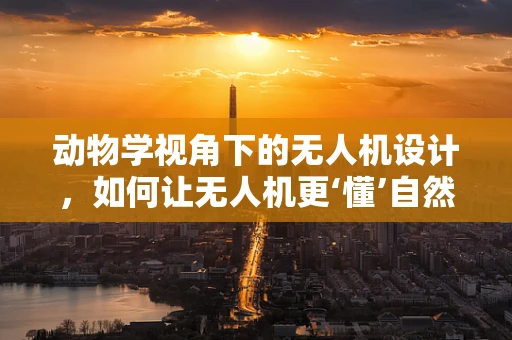 动物学视角下的无人机设计，如何让无人机更‘懂’自然？