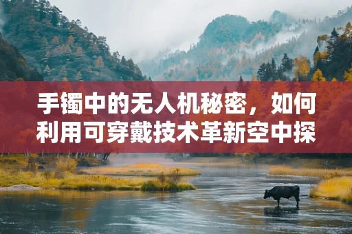 手镯中的无人机秘密，如何利用可穿戴技术革新空中探索？