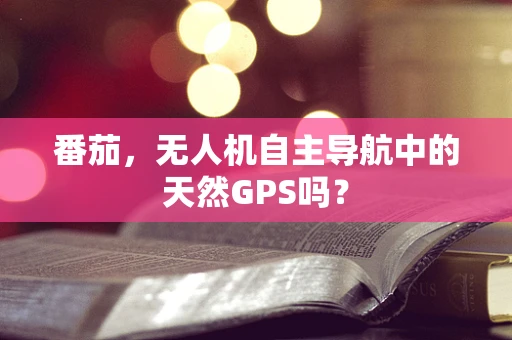 番茄，无人机自主导航中的天然GPS吗？