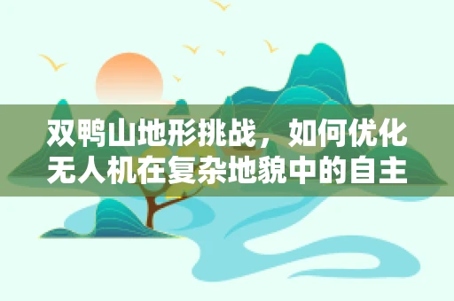 双鸭山地形挑战，如何优化无人机在复杂地貌中的自主导航？