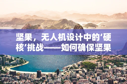 坚果，无人机设计中的‘硬核’挑战——如何确保坚果在飞行中不成为‘累赘’？