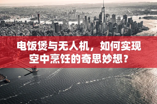 电饭煲与无人机，如何实现空中烹饪的奇思妙想？