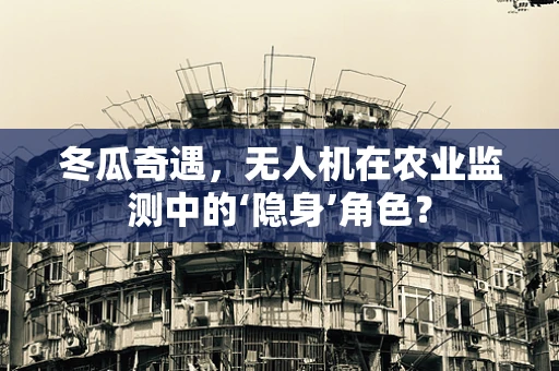 冬瓜奇遇，无人机在农业监测中的‘隐身’角色？