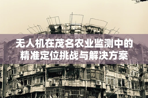无人机在茂名农业监测中的精准定位挑战与解决方案