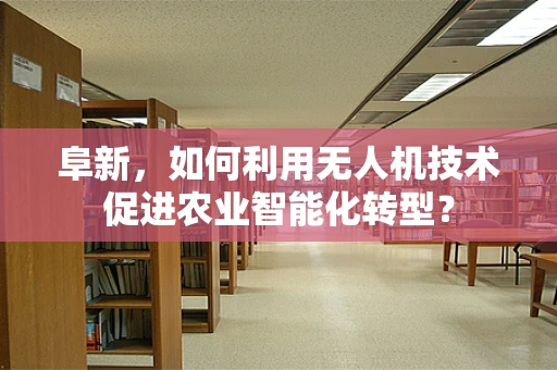 阜新，如何利用无人机技术促进农业智能化转型？