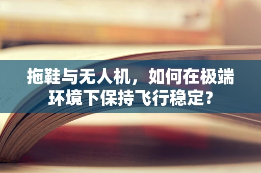 拖鞋与无人机，如何在极端环境下保持飞行稳定？