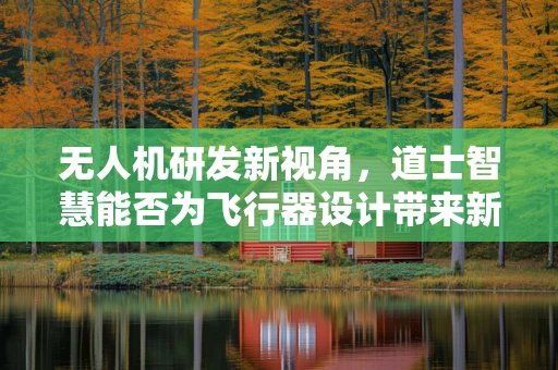 无人机研发新视角，道士智慧能否为飞行器设计带来新启示？