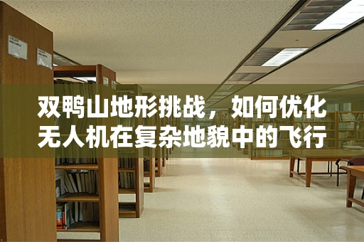 双鸭山地形挑战，如何优化无人机在复杂地貌中的飞行稳定性？