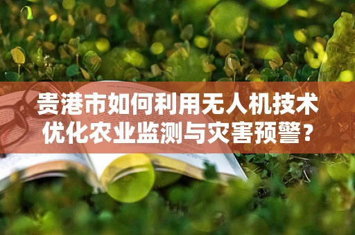 贵港市如何利用无人机技术优化农业监测与灾害预警？