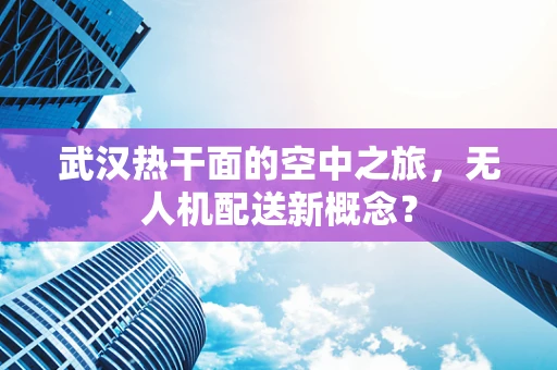 武汉热干面的空中之旅，无人机配送新概念？