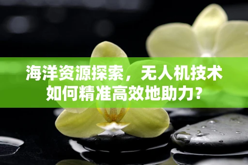 海洋资源探索，无人机技术如何精准高效地助力？