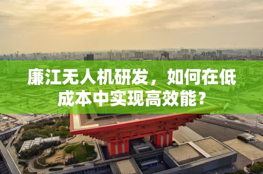 廉江无人机研发，如何在低成本中实现高效能？