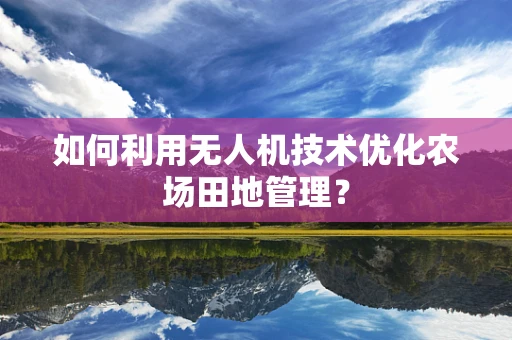 如何利用无人机技术优化农场田地管理？