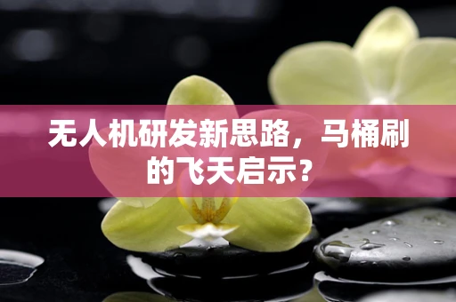 无人机研发新思路，马桶刷的飞天启示？
