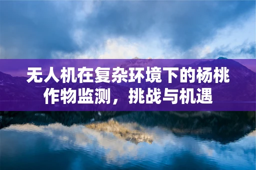 无人机在复杂环境下的杨桃作物监测，挑战与机遇
