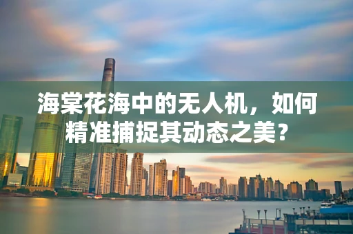海棠花海中的无人机，如何精准捕捉其动态之美？