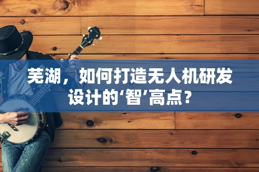 芜湖，如何打造无人机研发设计的‘智’高点？