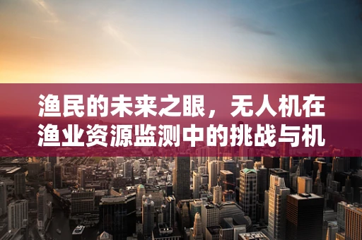 渔民的未来之眼，无人机在渔业资源监测中的挑战与机遇