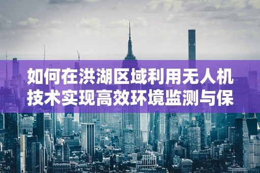 如何在洪湖区域利用无人机技术实现高效环境监测与保护？