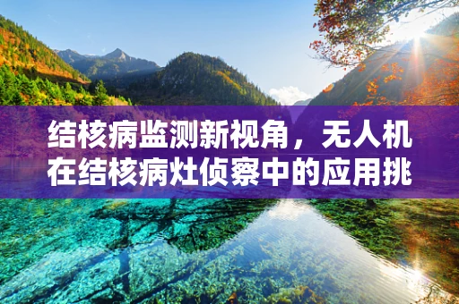 结核病监测新视角，无人机在结核病灶侦察中的应用挑战