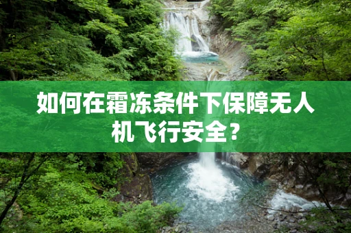 如何在霜冻条件下保障无人机飞行安全？