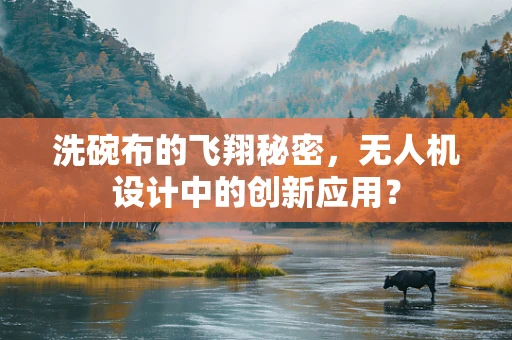 洗碗布的飞翔秘密，无人机设计中的创新应用？
