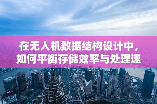 在无人机数据结构设计中，如何平衡存储效率与处理速度？