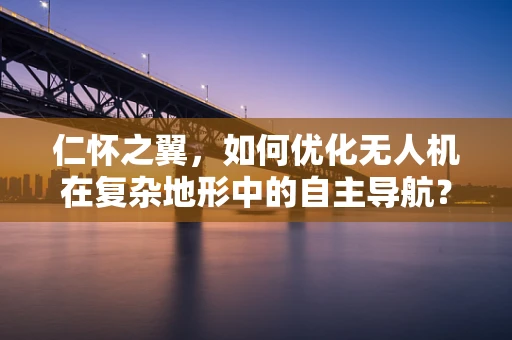 仁怀之翼，如何优化无人机在复杂地形中的自主导航？