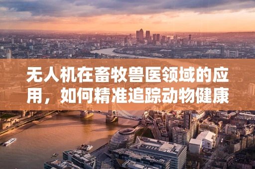 无人机在畜牧兽医领域的应用，如何精准追踪动物健康状况？