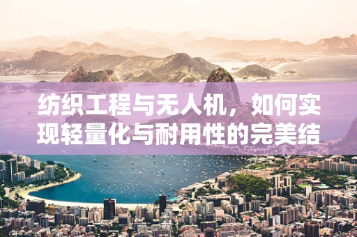 纺织工程与无人机，如何实现轻量化与耐用性的完美结合？
