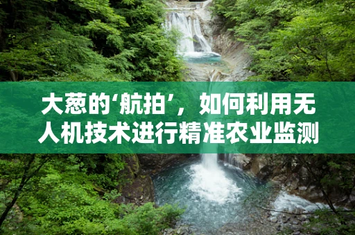 大葱的‘航拍’，如何利用无人机技术进行精准农业监测？