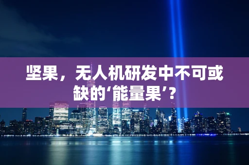 坚果，无人机研发中不可或缺的‘能量果’？