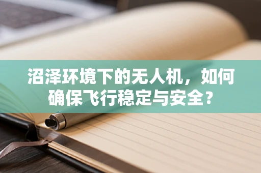沼泽环境下的无人机，如何确保飞行稳定与安全？