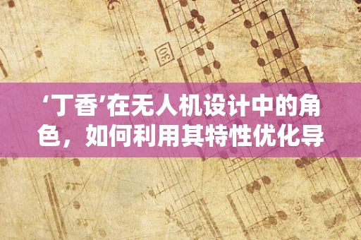 ‘丁香’在无人机设计中的角色，如何利用其特性优化导航系统？