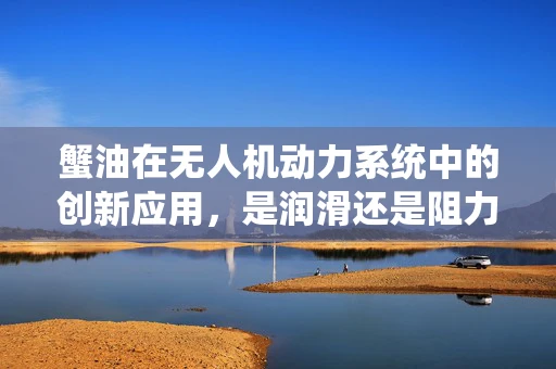 蟹油在无人机动力系统中的创新应用，是润滑还是阻力？