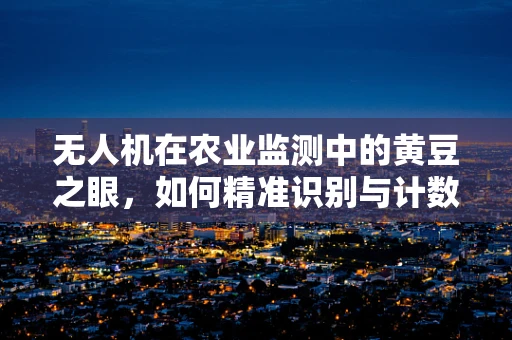 无人机在农业监测中的黄豆之眼，如何精准识别与计数？