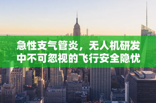 急性支气管炎，无人机研发中不可忽视的飞行安全隐忧？