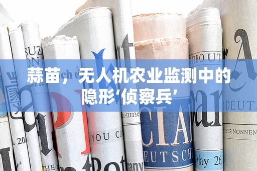 蒜苗，无人机农业监测中的隐形‘侦察兵’