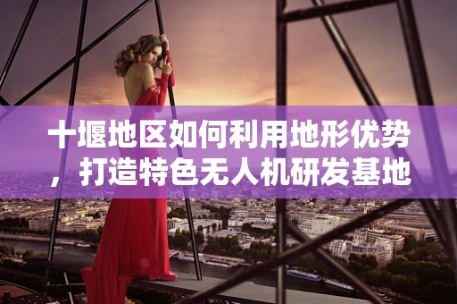 十堰地区如何利用地形优势，打造特色无人机研发基地？