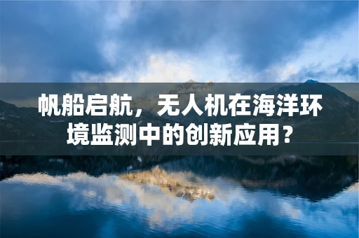 帆船启航，无人机在海洋环境监测中的创新应用？