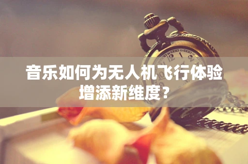 音乐如何为无人机飞行体验增添新维度？