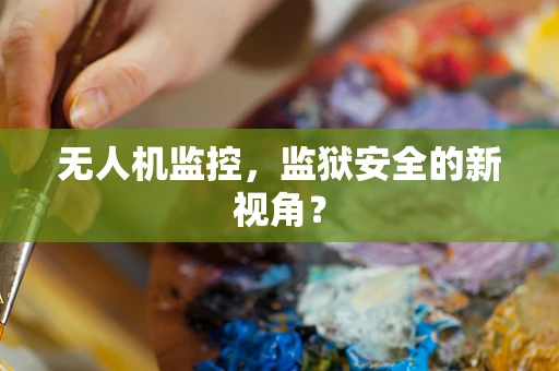无人机监控，监狱安全的新视角？