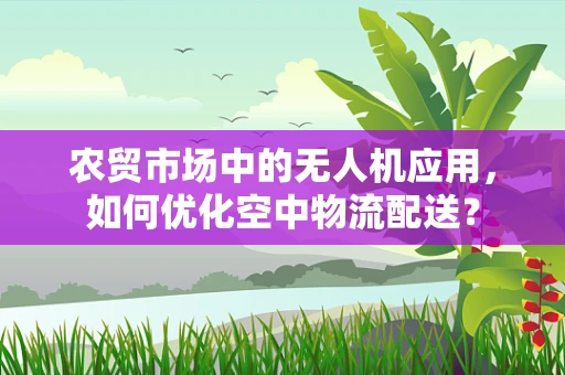 农贸市场中的无人机应用，如何优化空中物流配送？